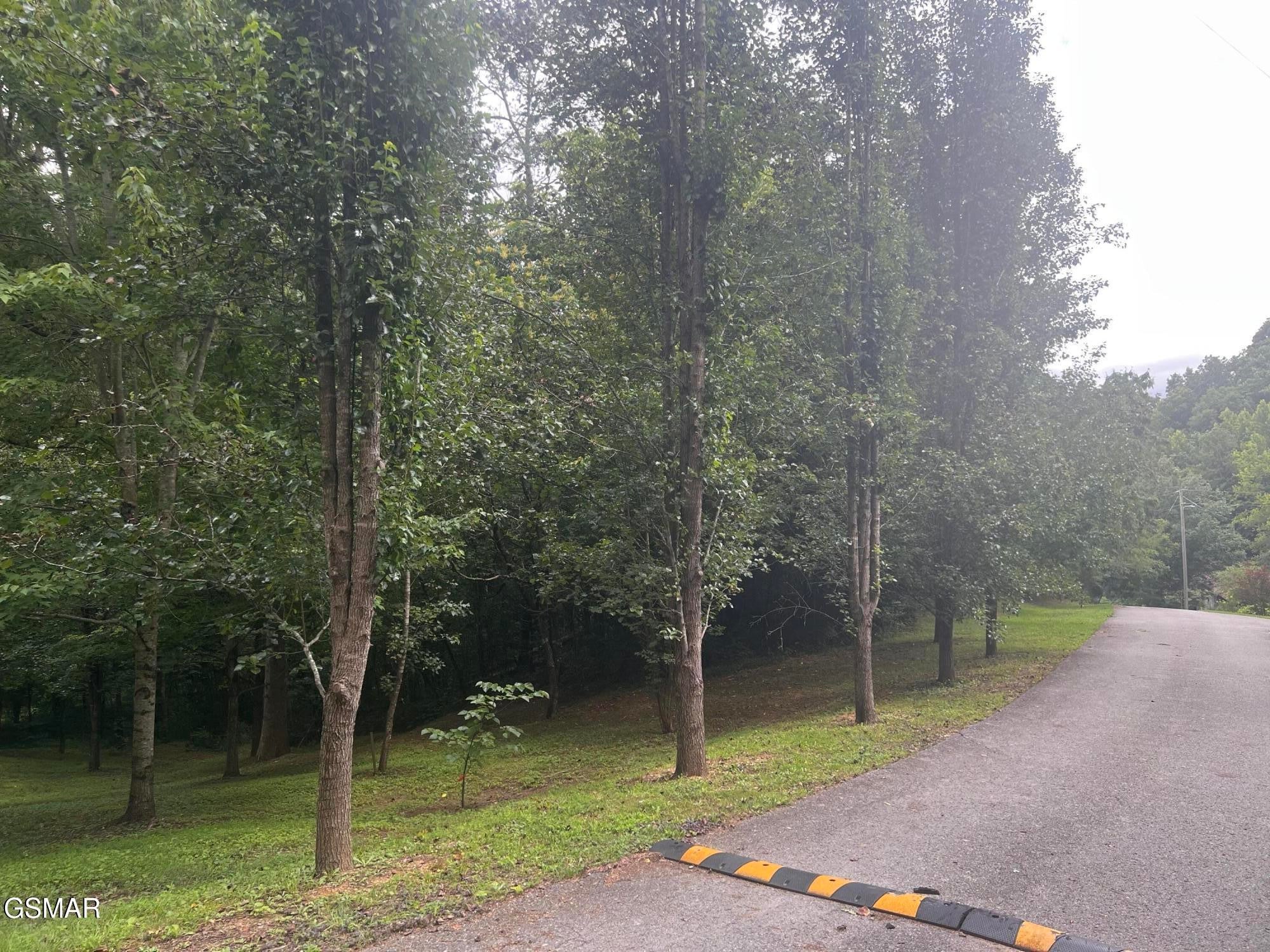 29 Scenic Woods Way