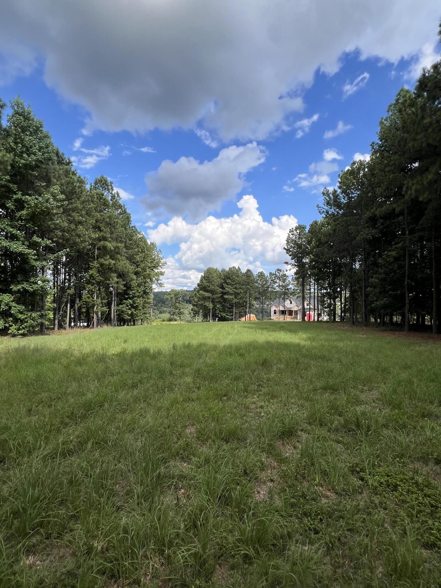 81 Crockett Loop