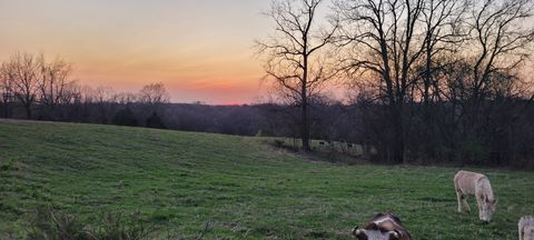 1 Haley Rd College Grove TN 37046