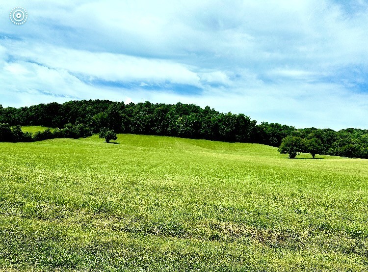 165 Golden Hollow Rd