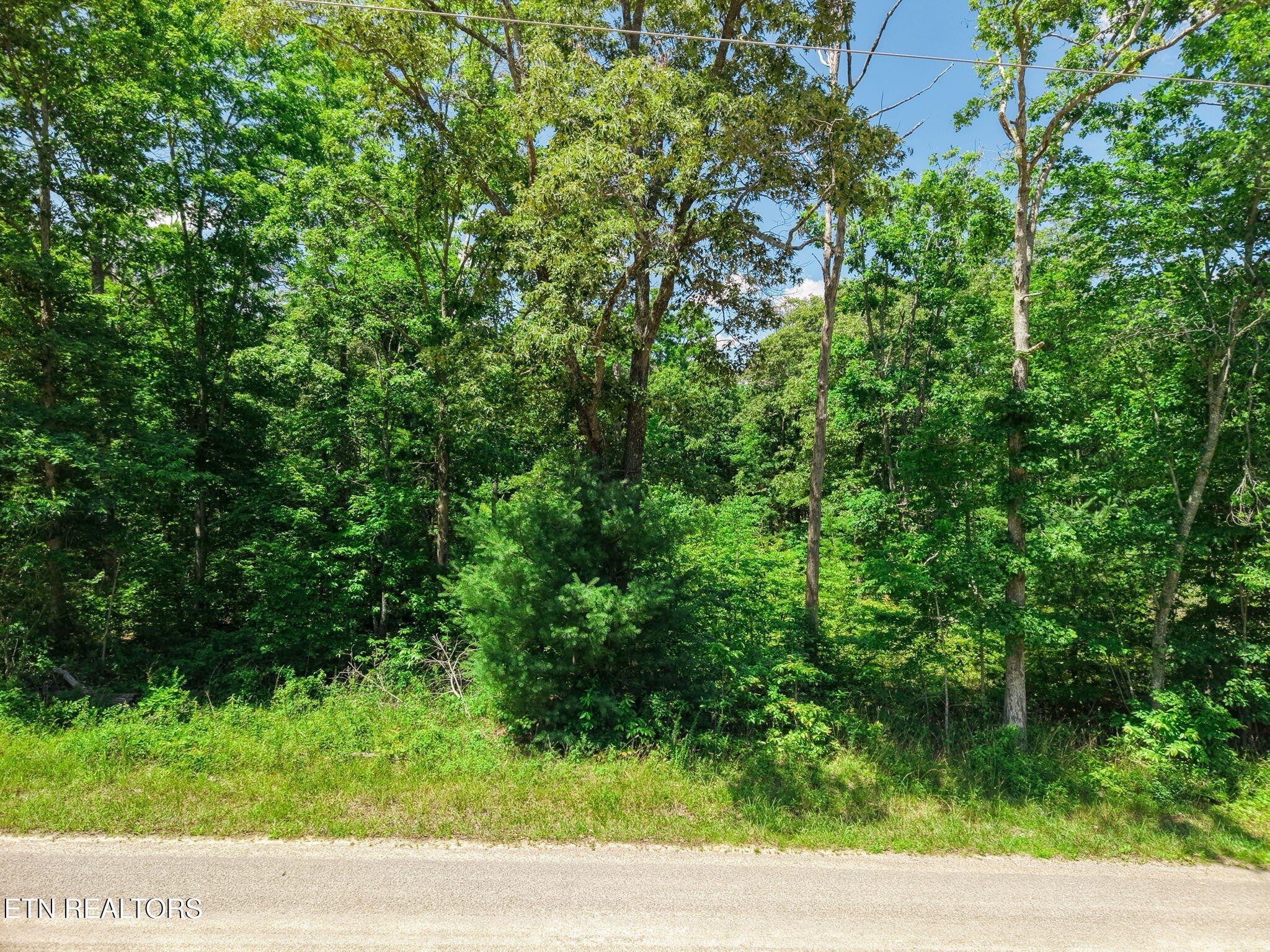 246 Perkins Tr