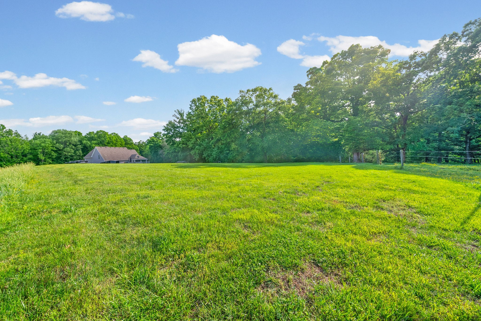 317 Alonzo Pl
