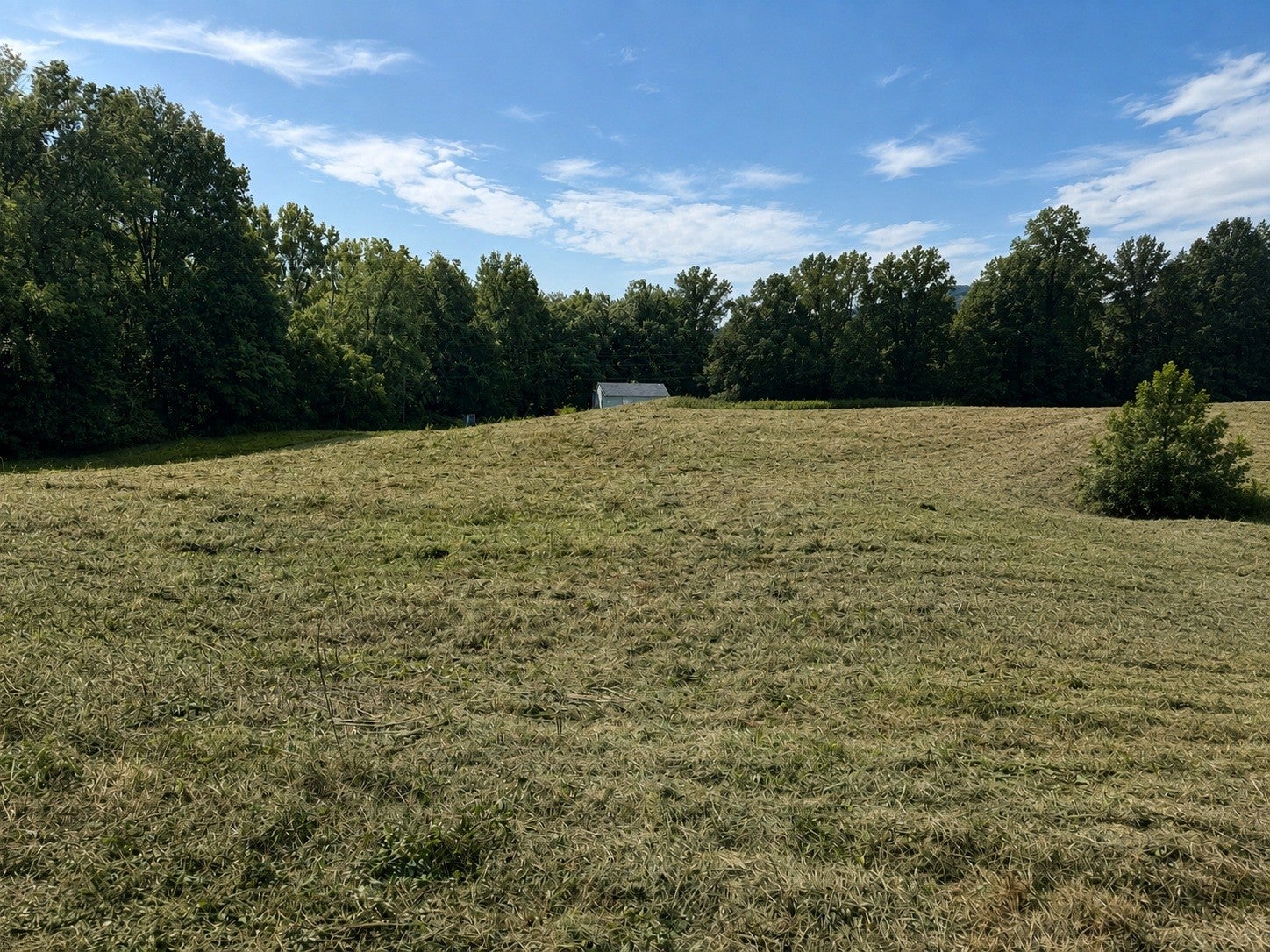 0 Potts Camp Rd