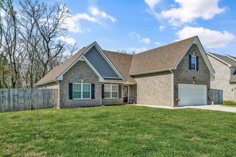 3056 Ronstadt Dr Christiana TN 37037