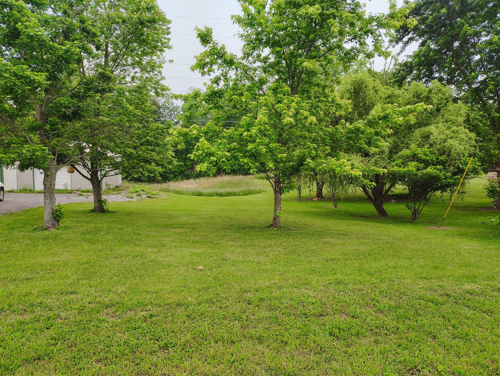 1104 Pointe Ln