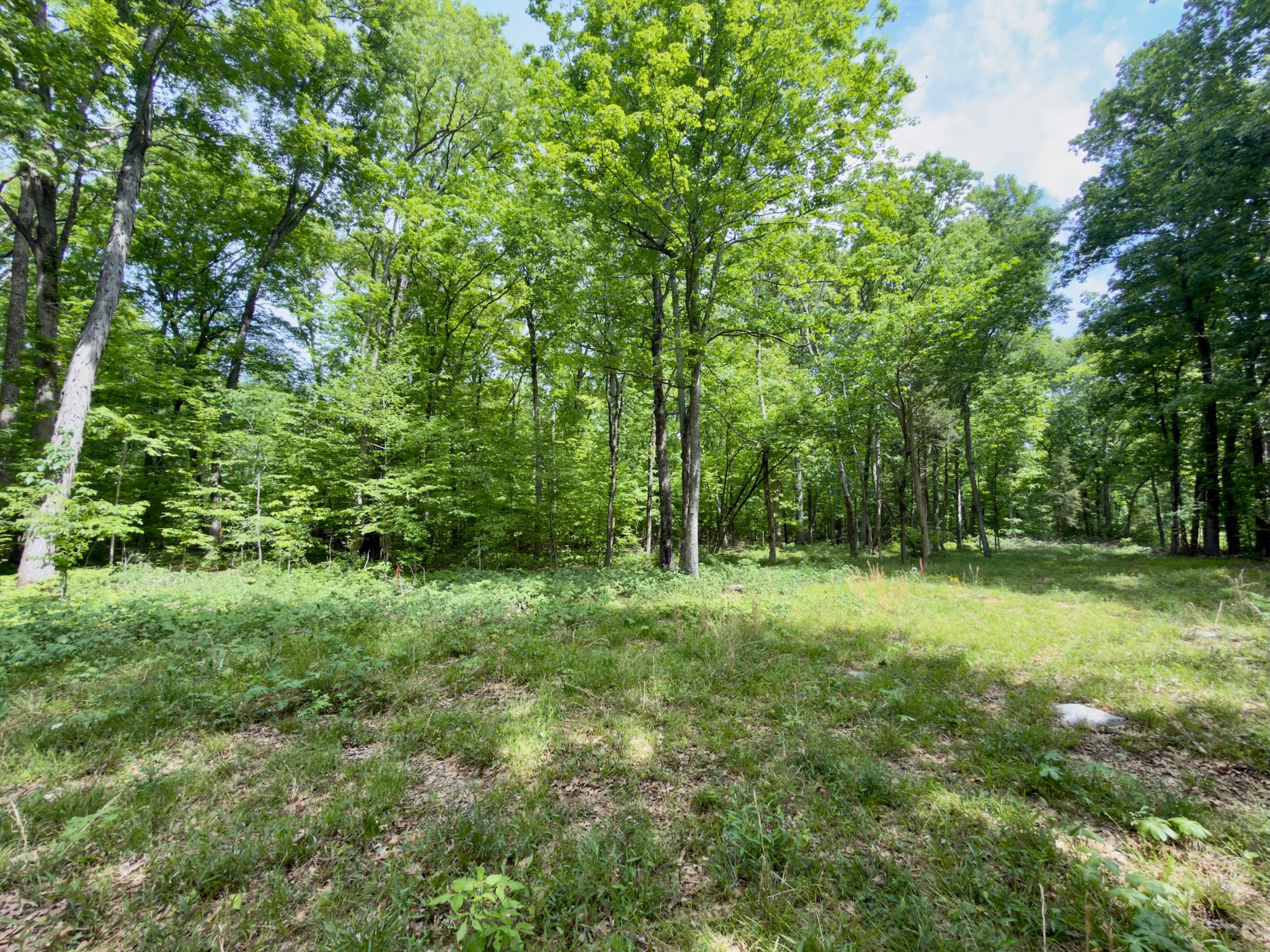 9346 Christiana Fosterville Rd