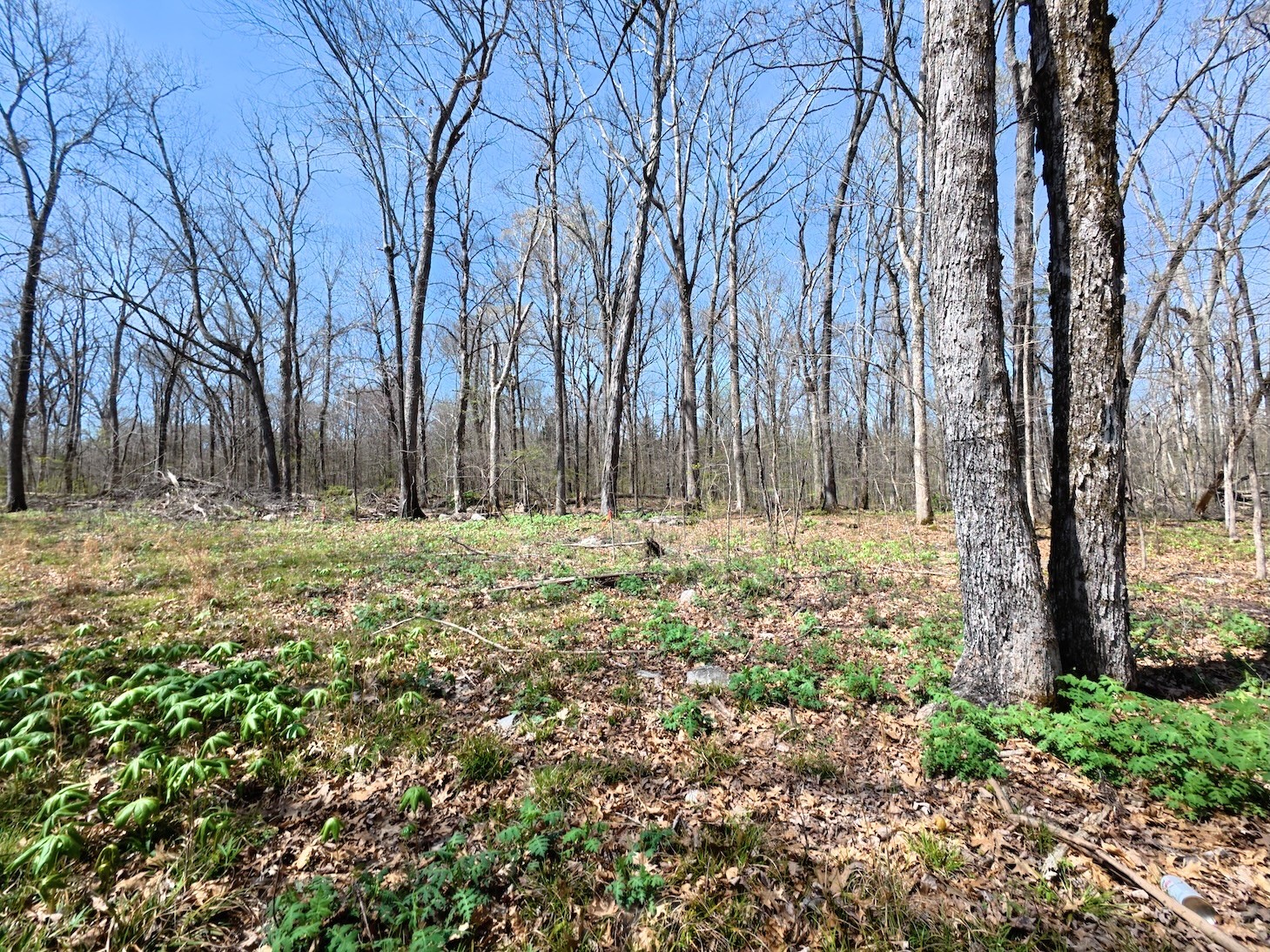 9346 Christiana Fosterville Rd