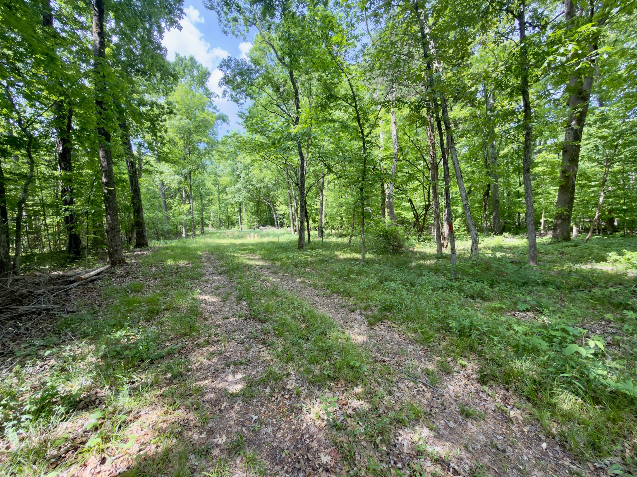 9346 Christiana Fosterville Rd