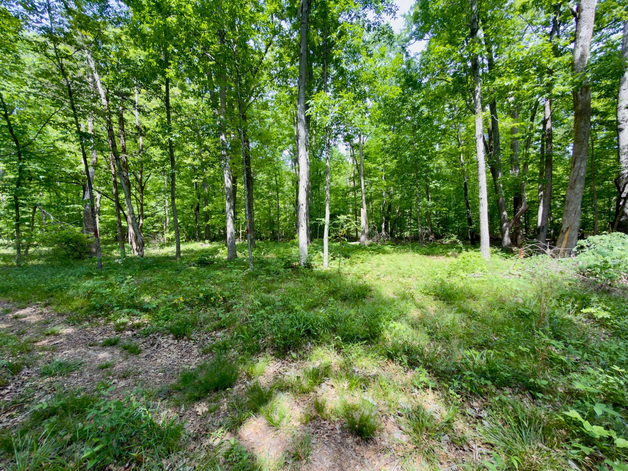 9346 Christiana Fosterville Rd