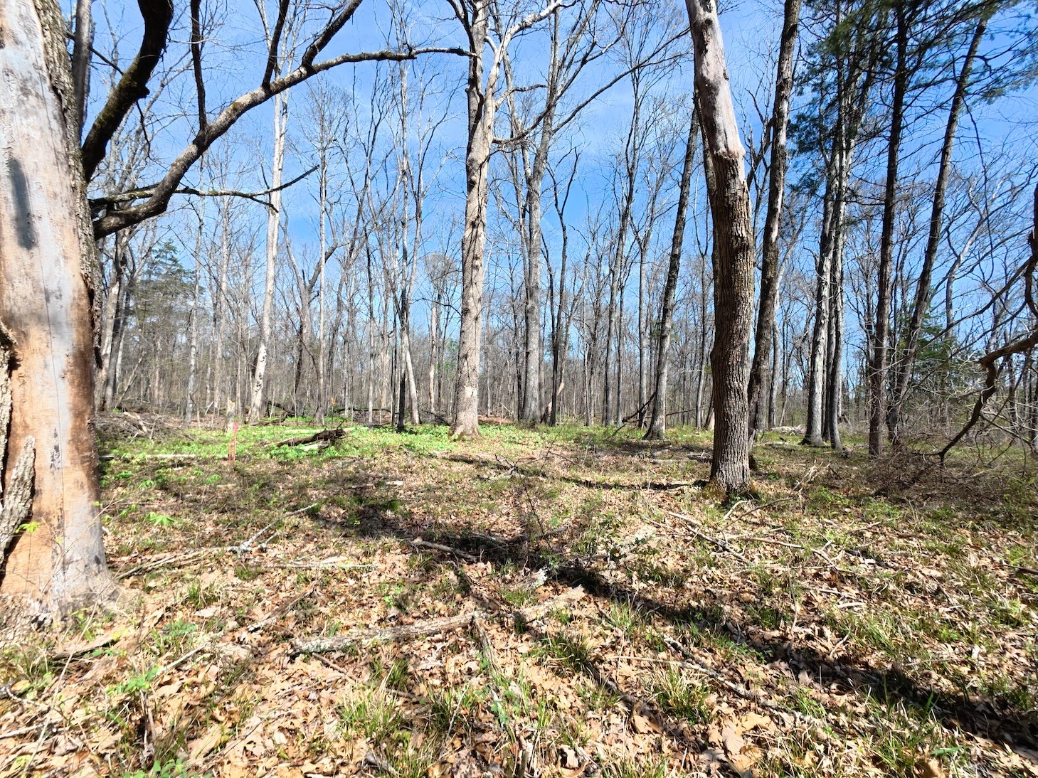 9346 Christiana Fosterville Rd