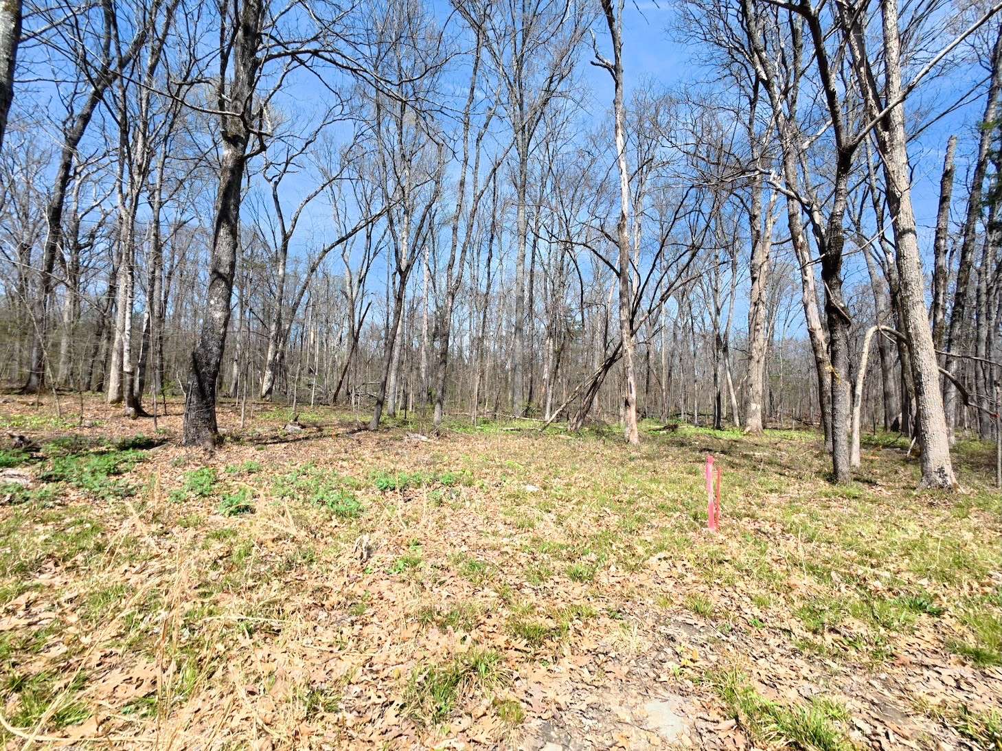 9346 Christiana Fosterville Rd