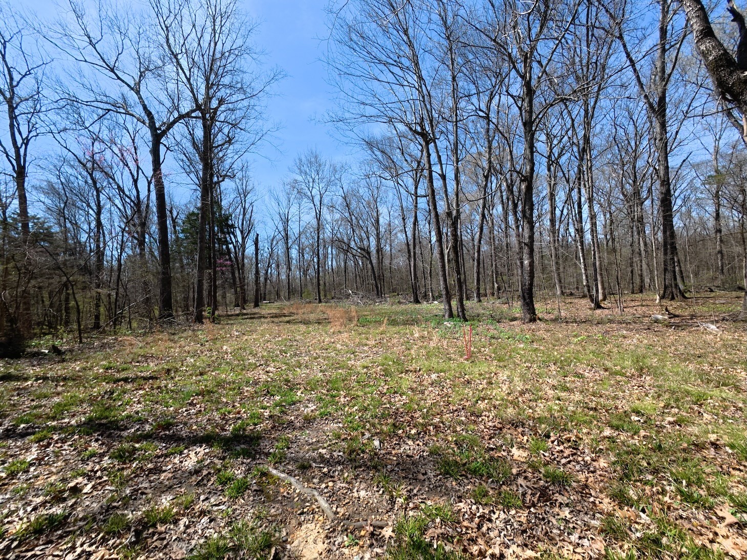 9346 Christiana Fosterville Rd