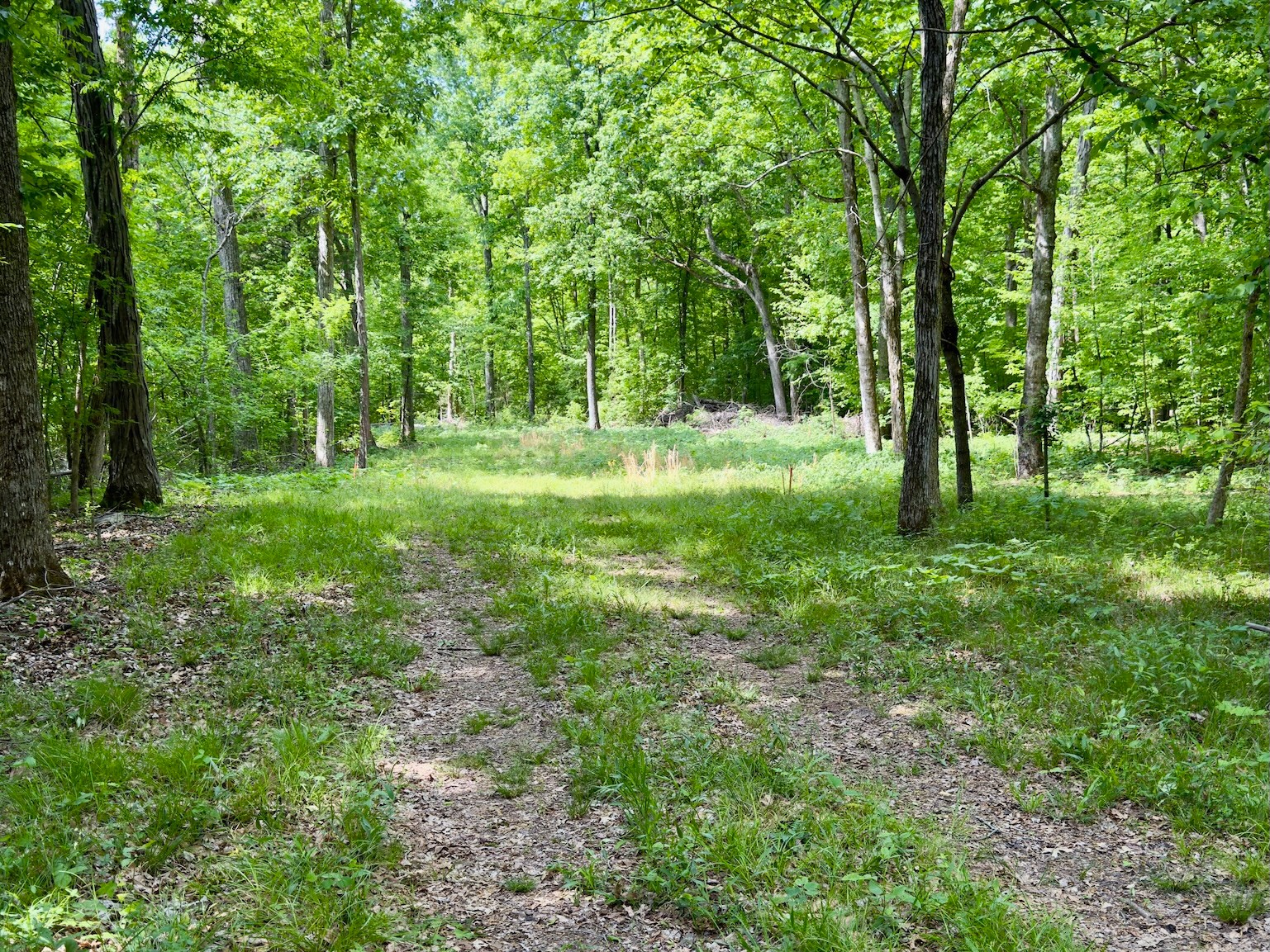 9346 Christiana Fosterville Rd
