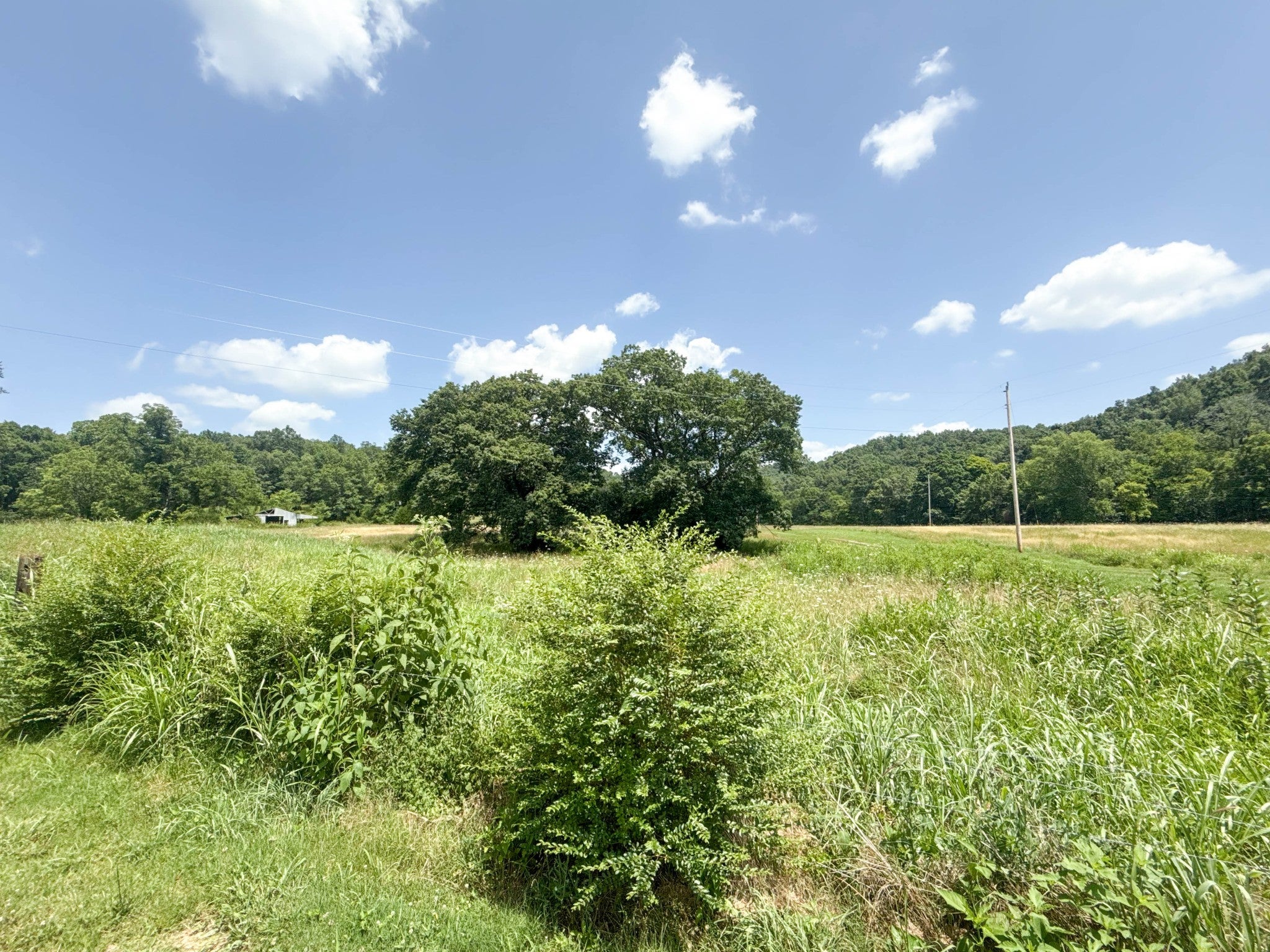 0 County House Rd
