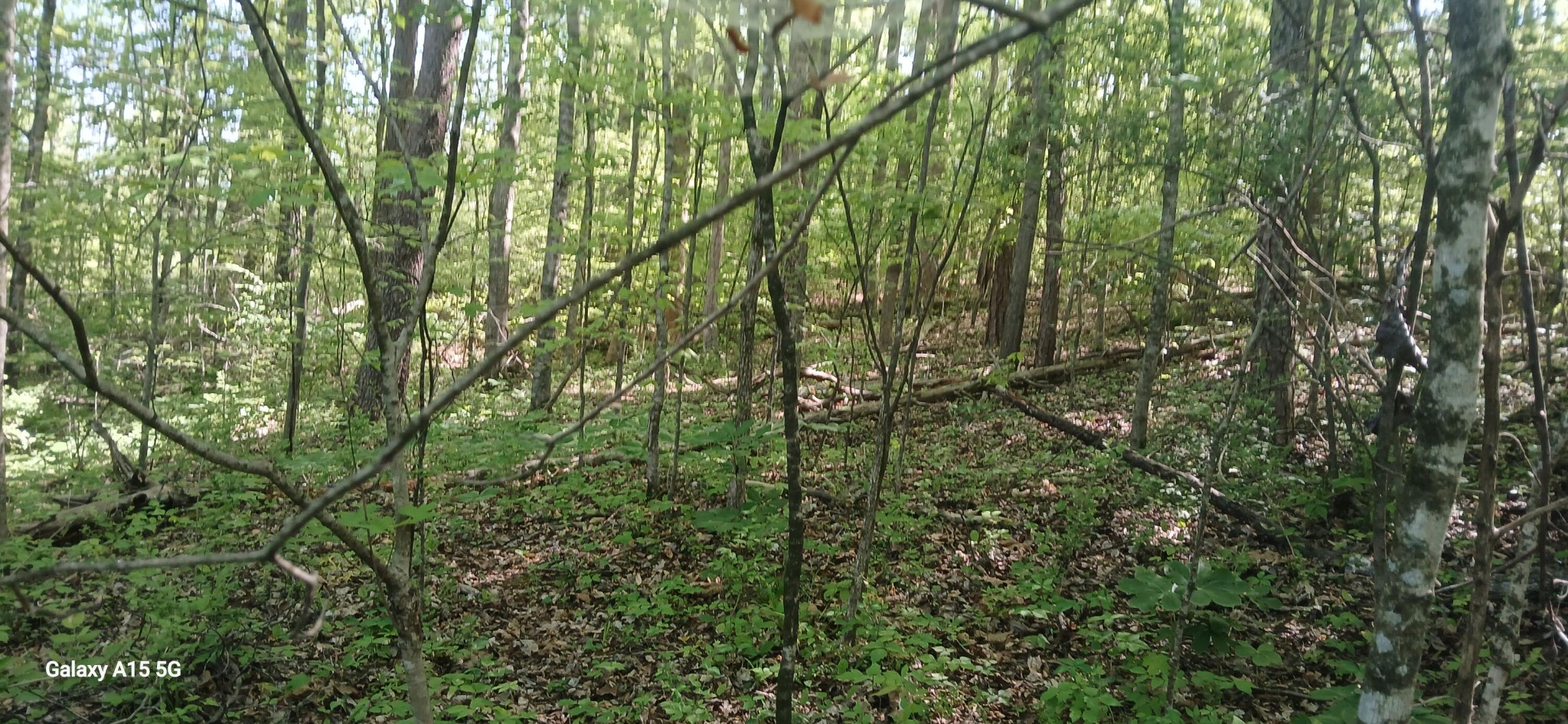 240 County Road 564