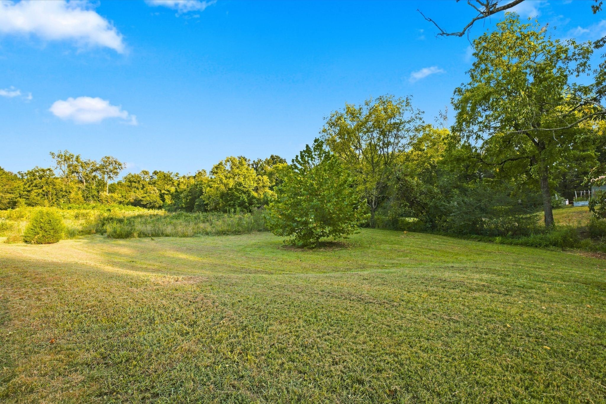 1444 Highway 52 E - Photo 2