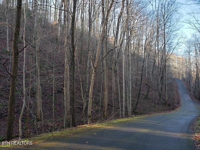 229 Sonshine Ridge Rd