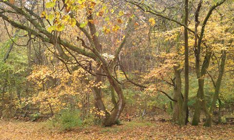 4091 New Highway 96 W Franklin TN 37064