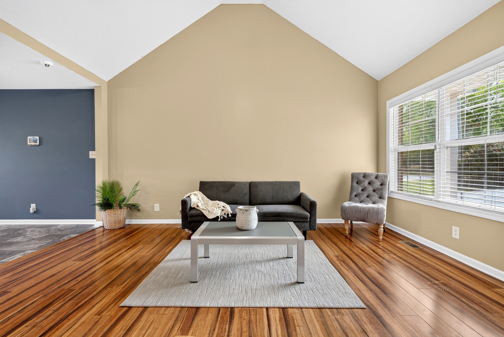 225 Raintree Dr