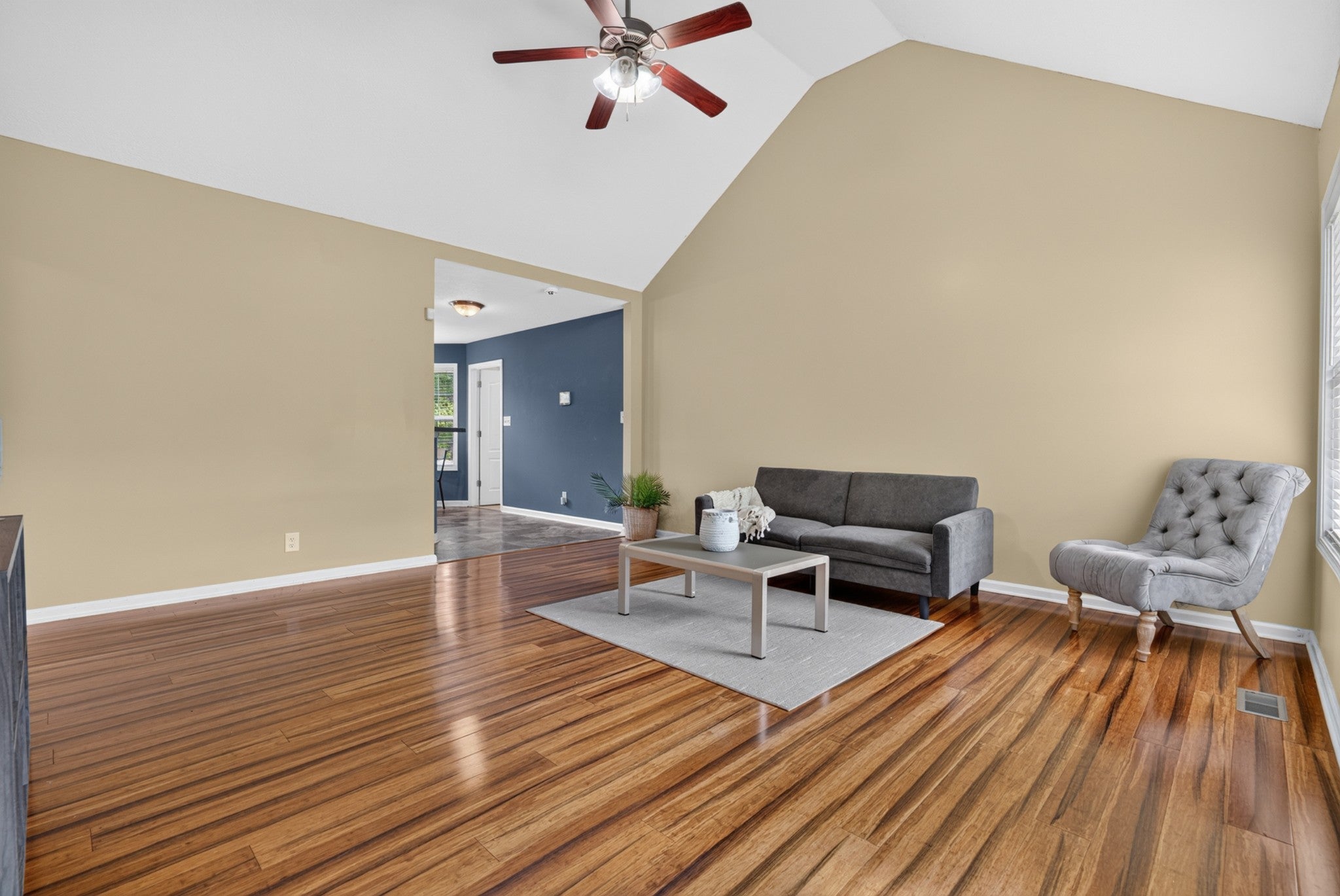 225 Raintree Dr