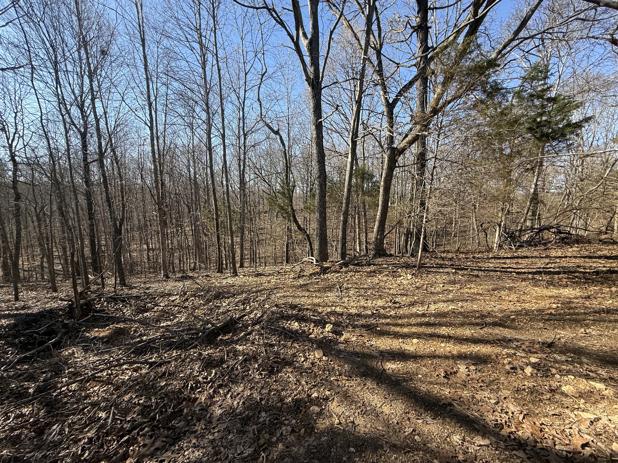 34 Backwoods Estates