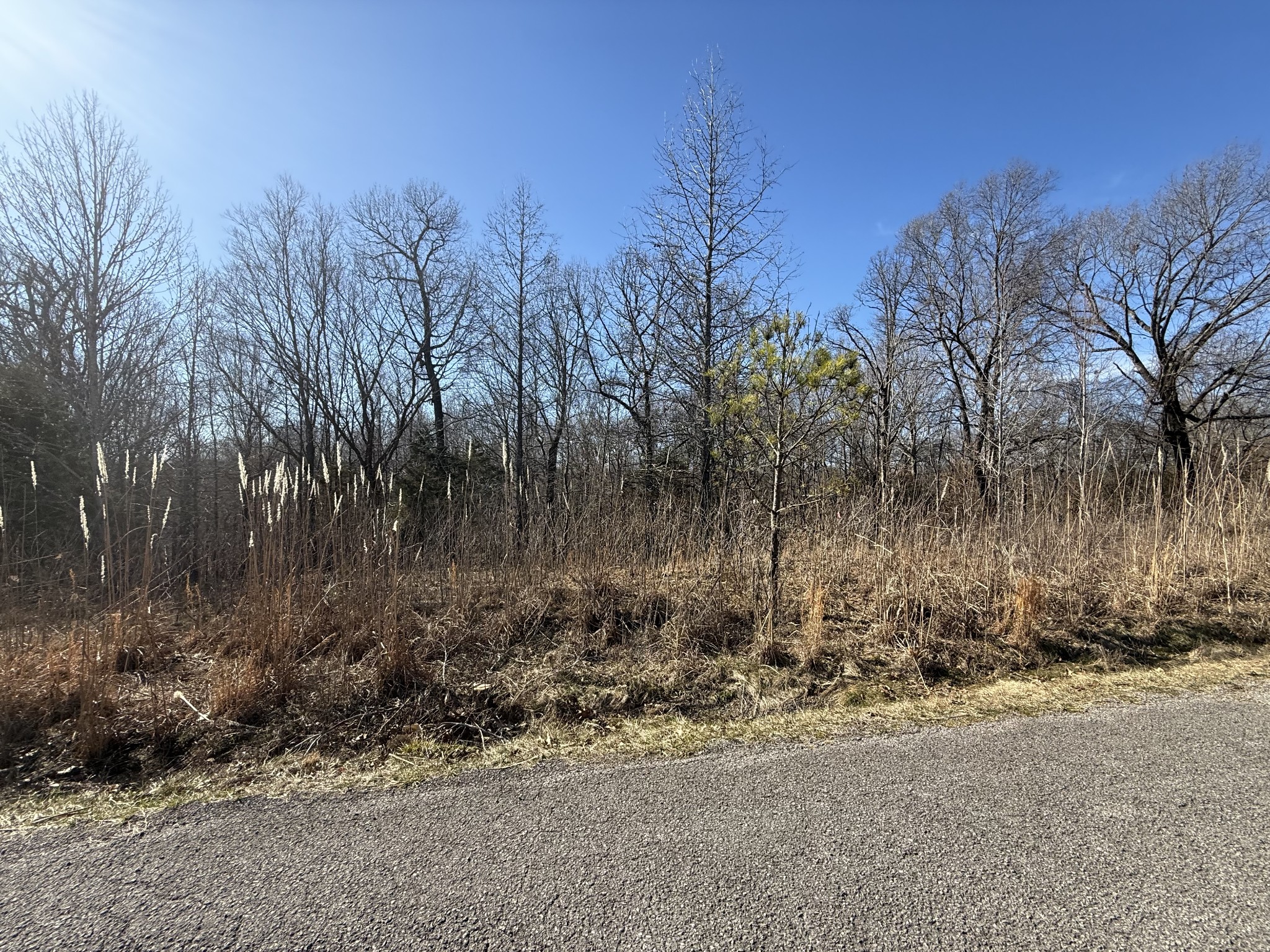 34 Backwoods Estates