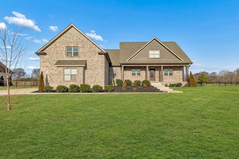 Photo of 4155 Ironwood Dr, Greenbrier, TN 37073 (MLS # 3169259)