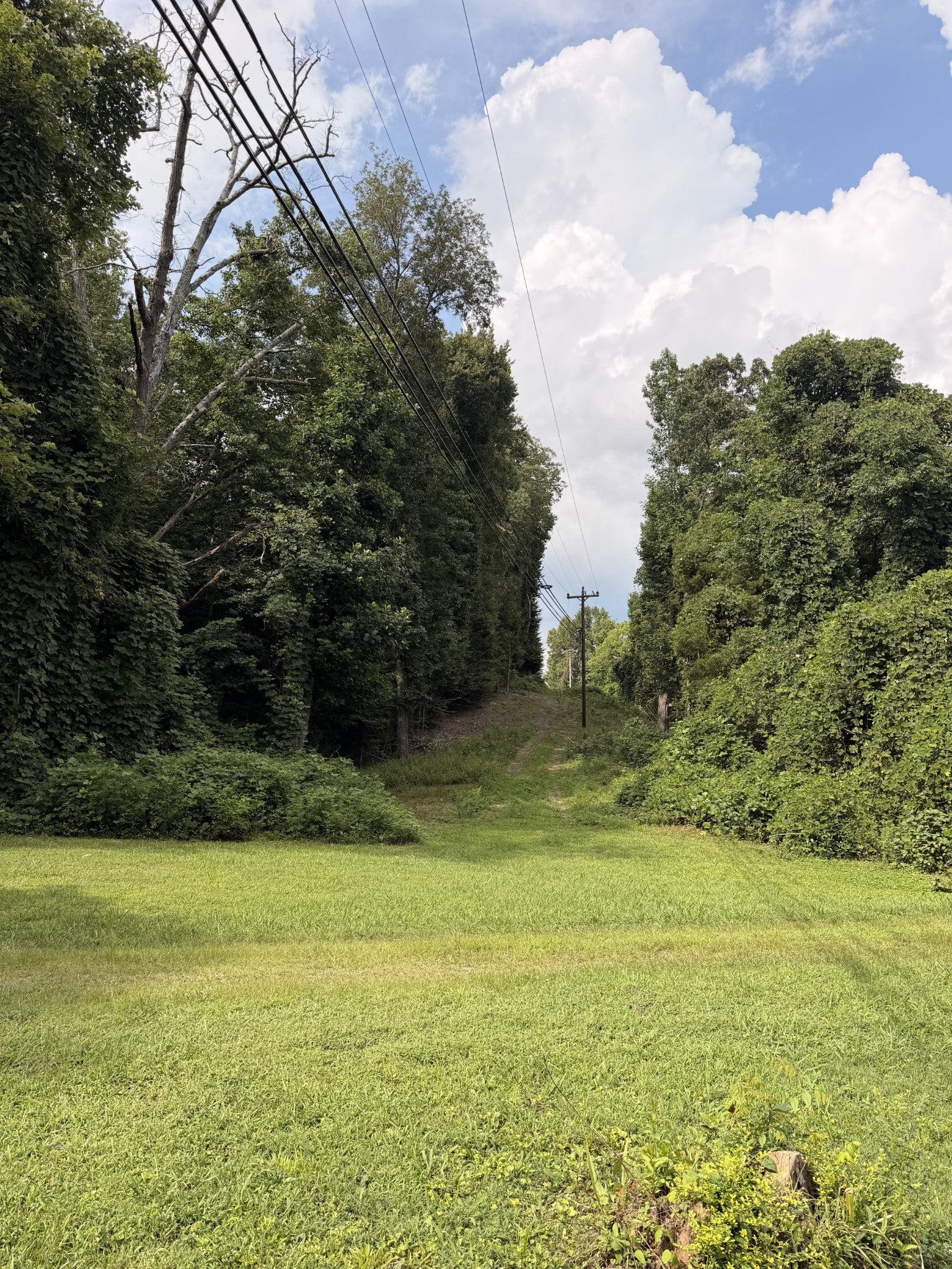 1264 Blanton Chapel Rd