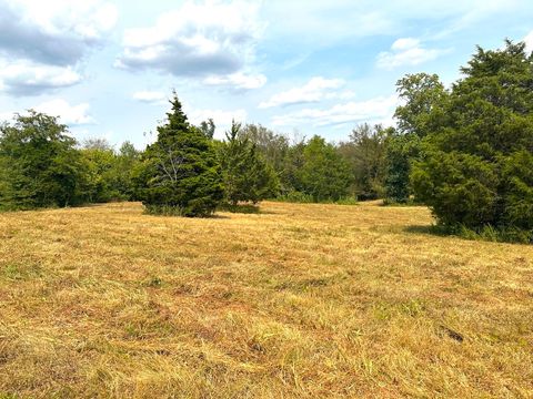 1 Burgess Gower Rd Springfield TN 37172