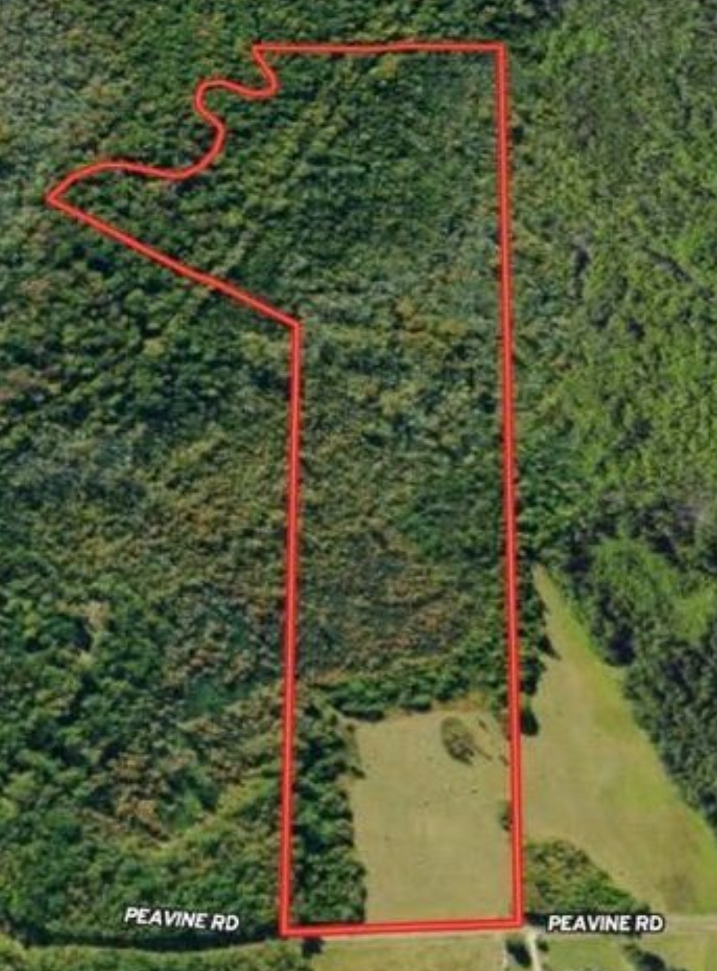 Listing image 1