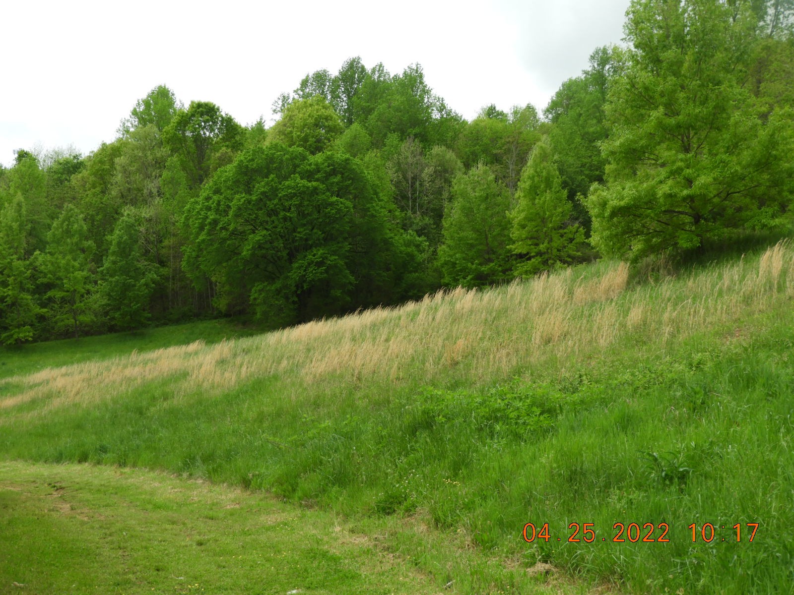 1450 Highway 64