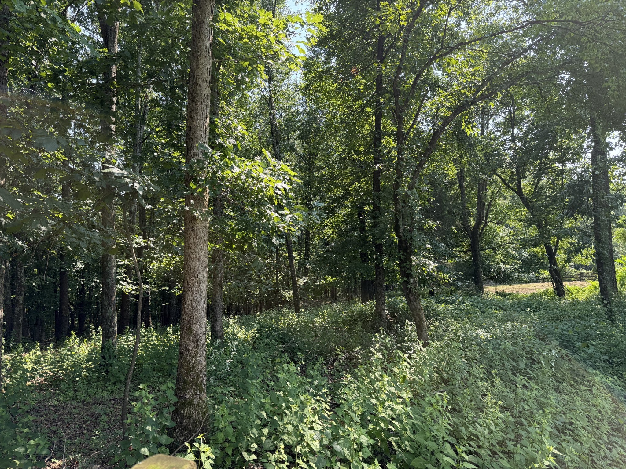 7541 Greer Rd