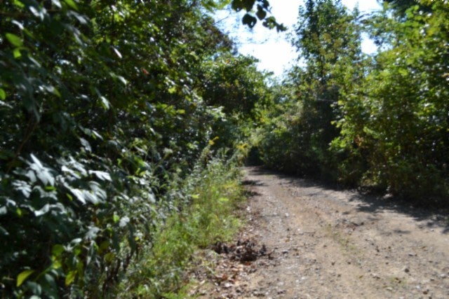 3 ac Rock Springs Rd