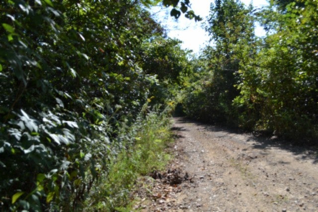 3 ac Rock Springs Rd