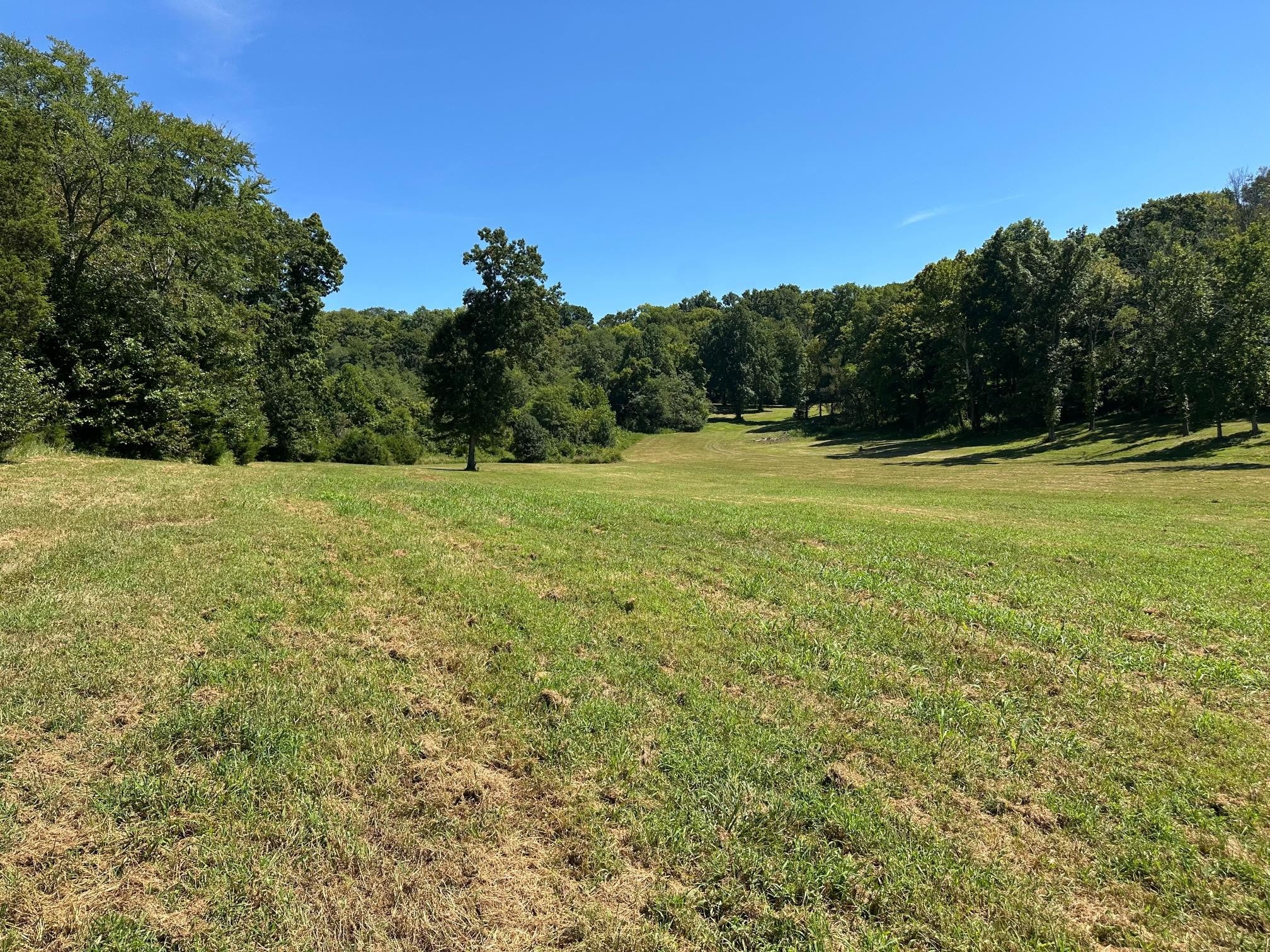 listing at 6414 Peytonsville Arno Rd College Grove, College-Grove