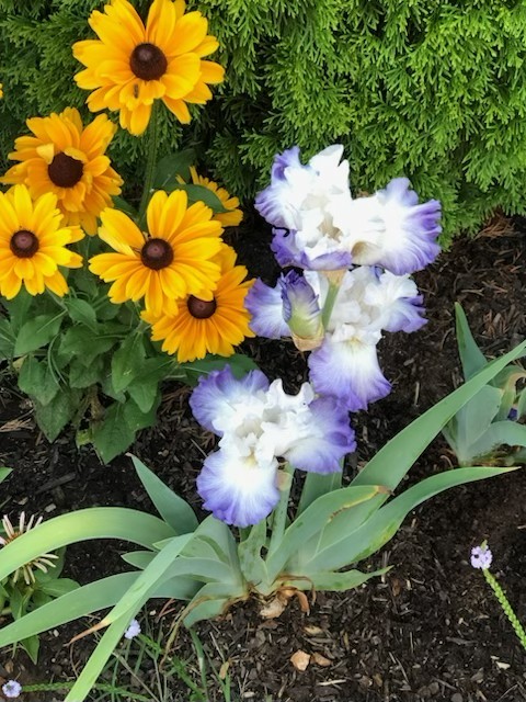 Murfreesboro, Tennessee 37128, United States, 4 Bedrooms Bedrooms, ,4 BathroomsBathrooms,Residential,Coming Soon,231994