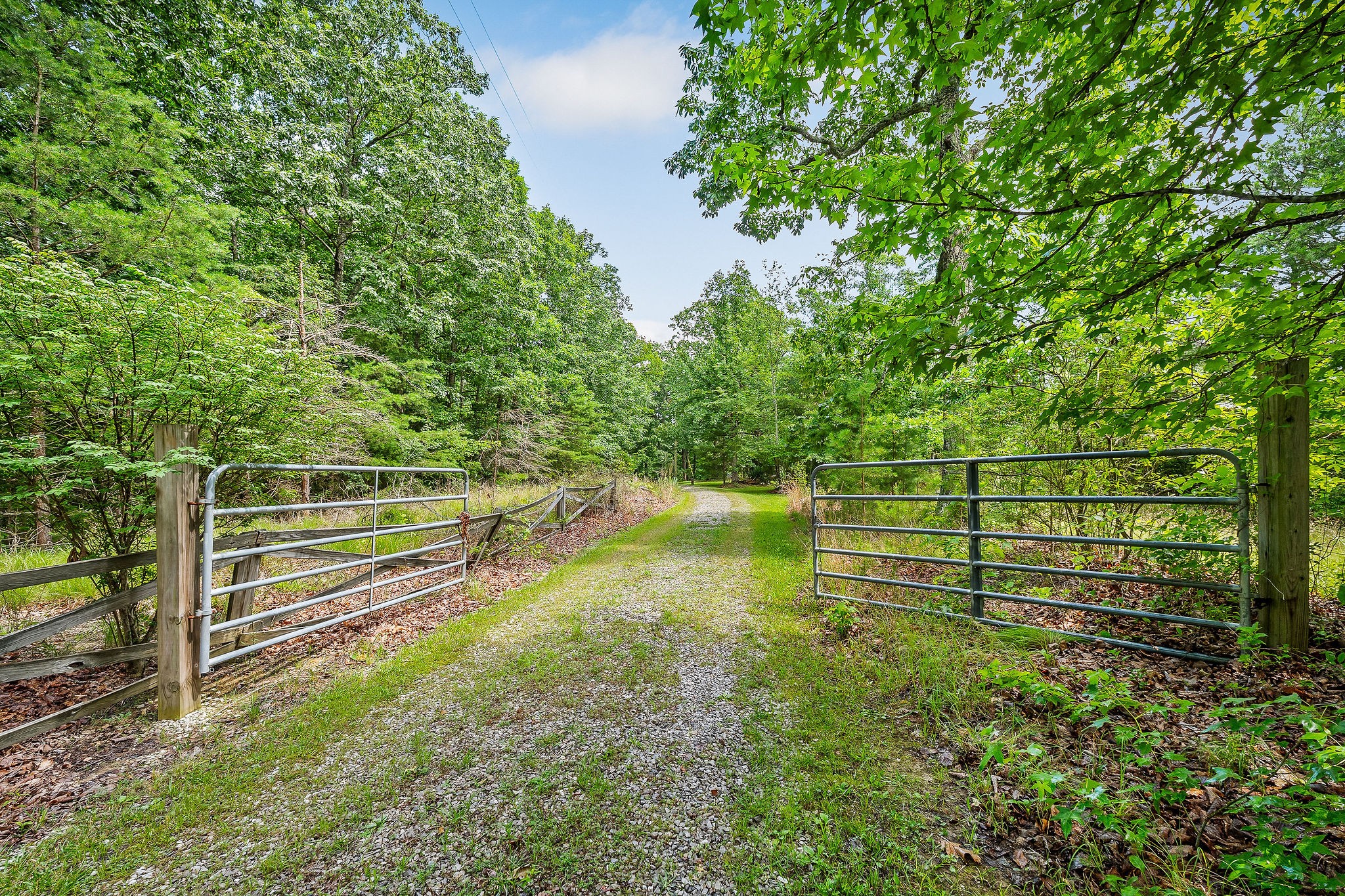 1294 Long Mountain Rd