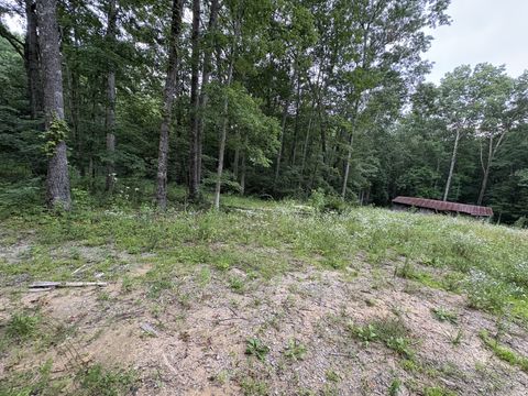 1117 Deer Run Altamont TN 37301