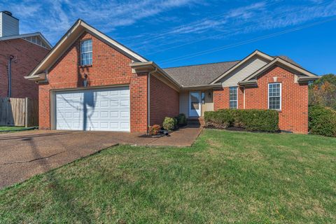 133 Cloverfield Ct Hendersonville TN 37075