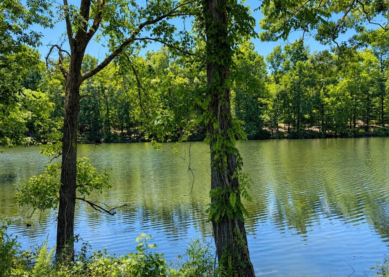 384 Duck Blind Rd
