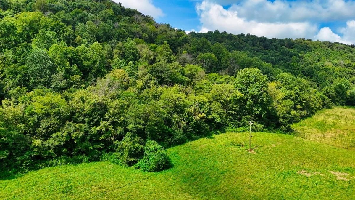 1 Big Hill Rd - Photo 3