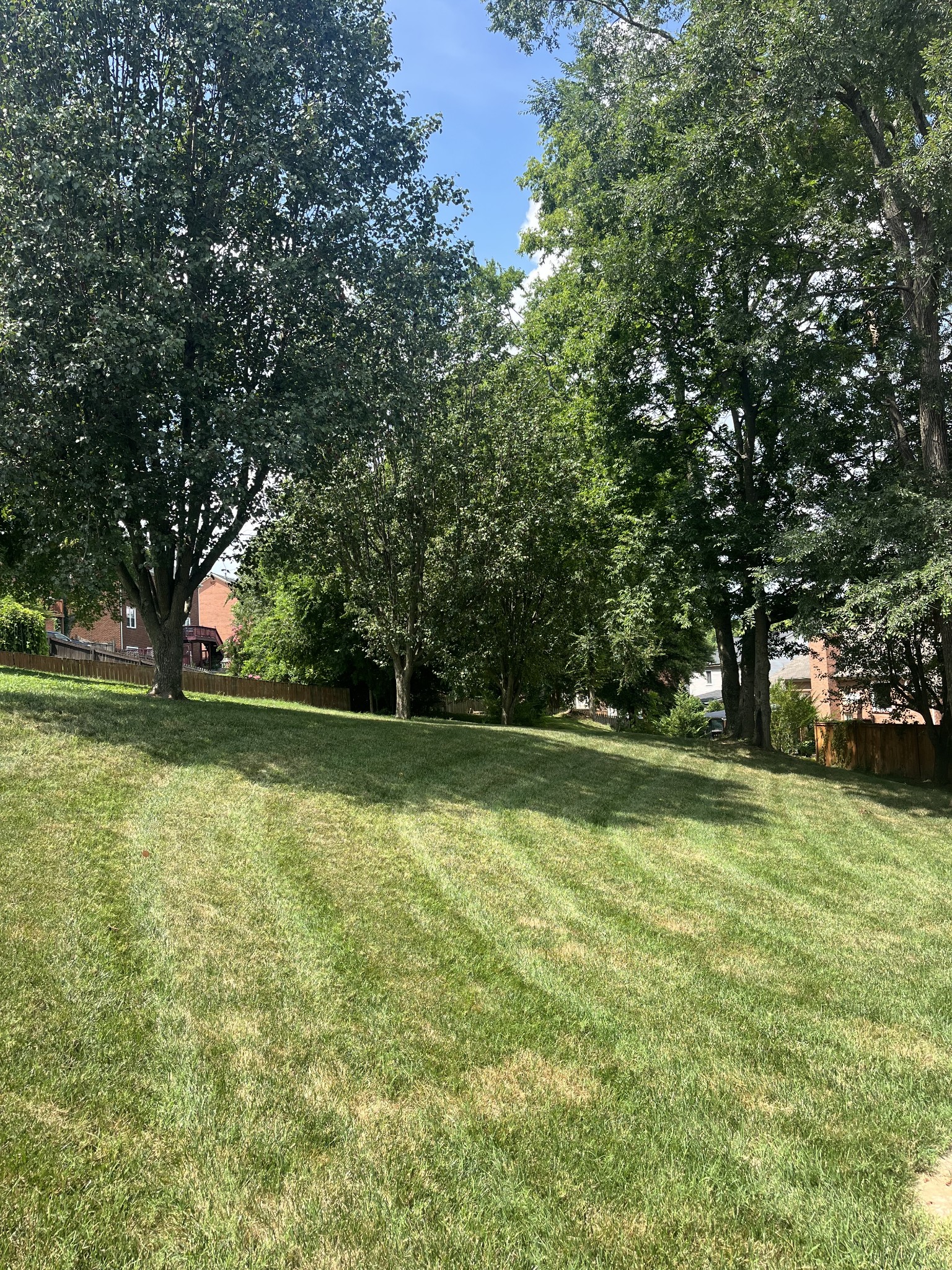 102 Mansker Park Dr