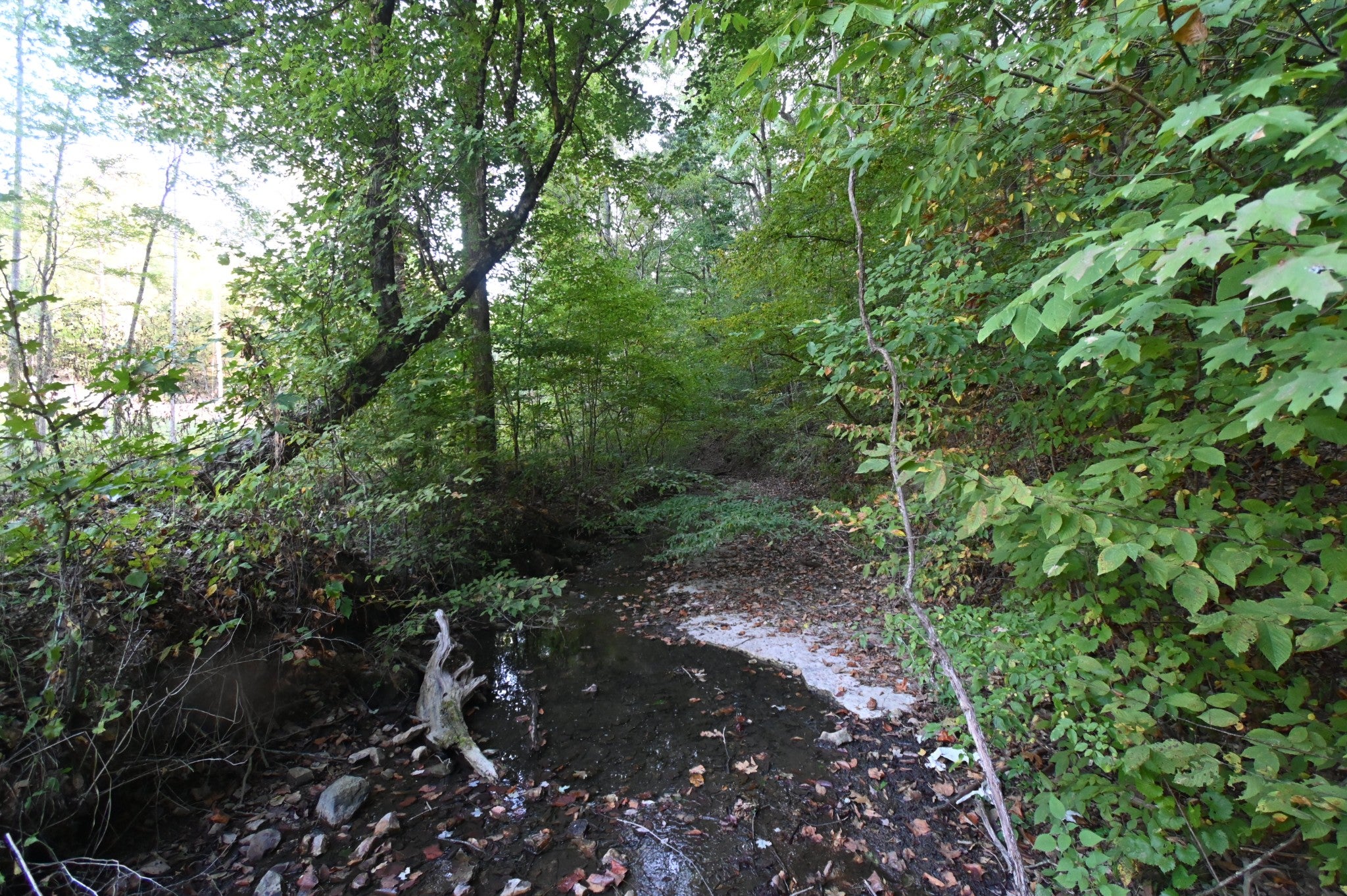 1826 Swindle Creek Rd