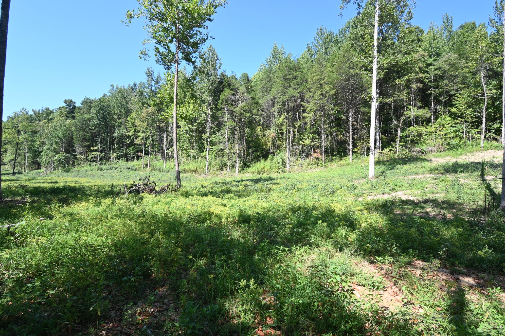 1826 Swindle Creek Rd