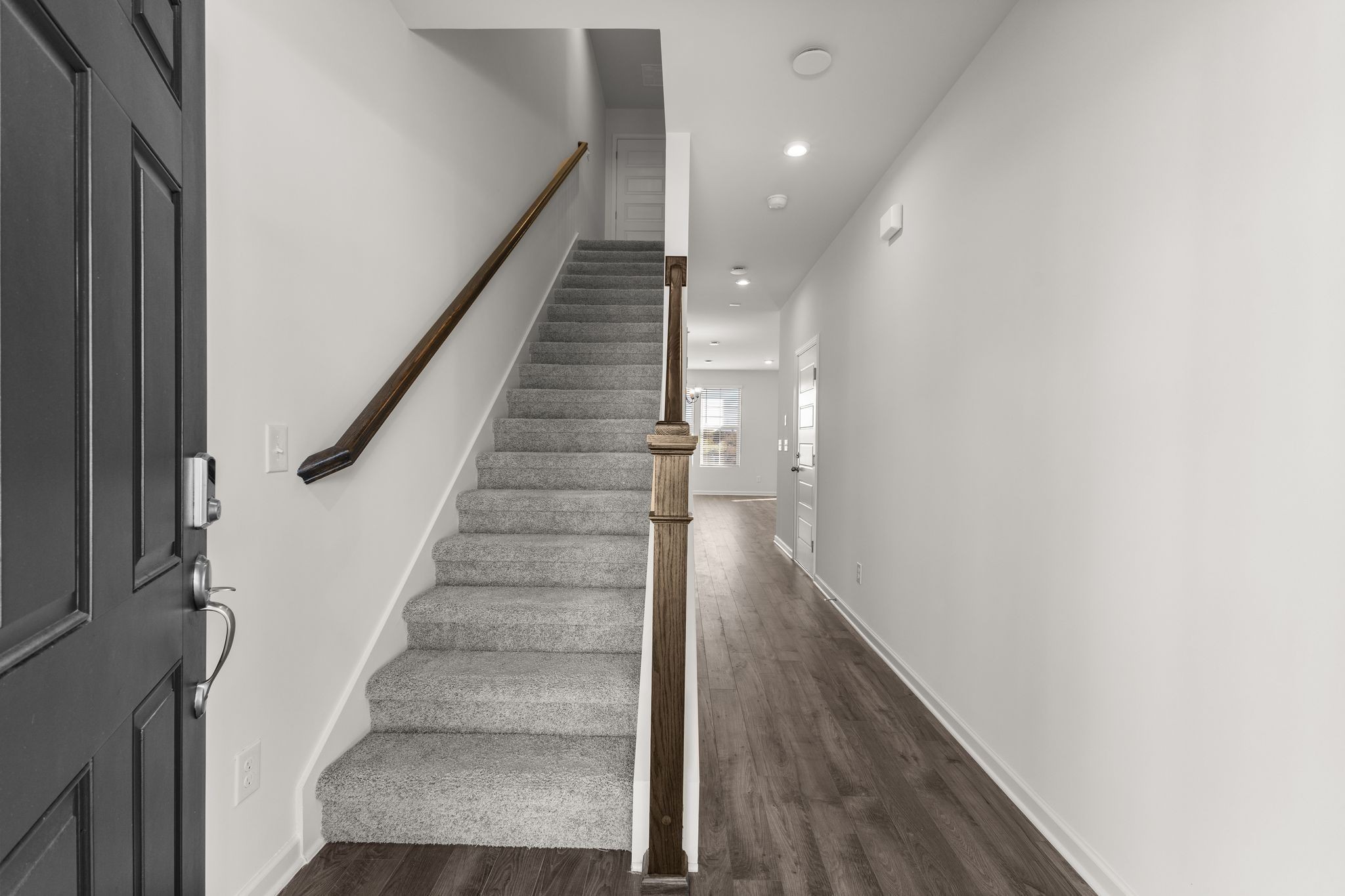 5038 Dayflower Drive