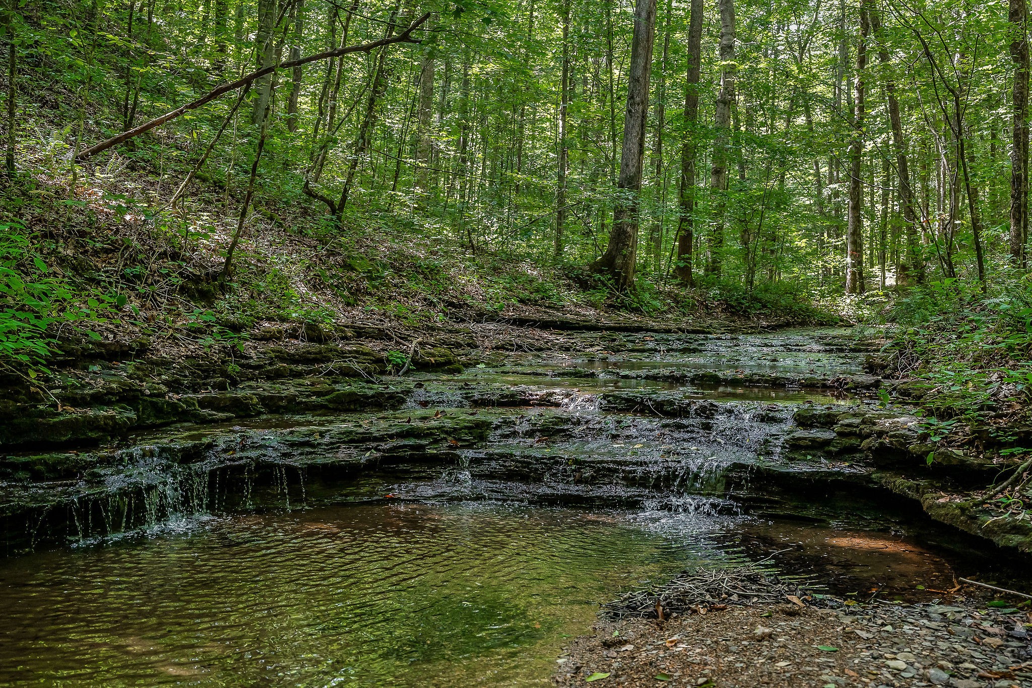 0 McCormick Ridge Rd