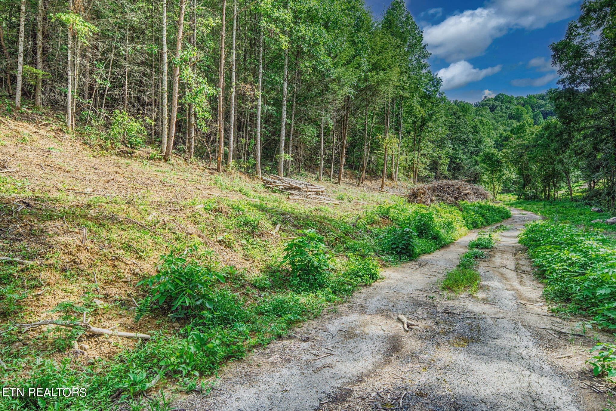 1670 Jobey Green Hollow Rd