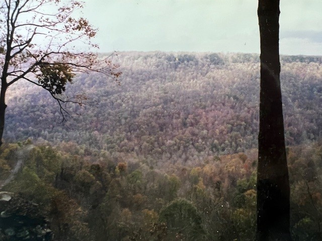 0 Long View Lane