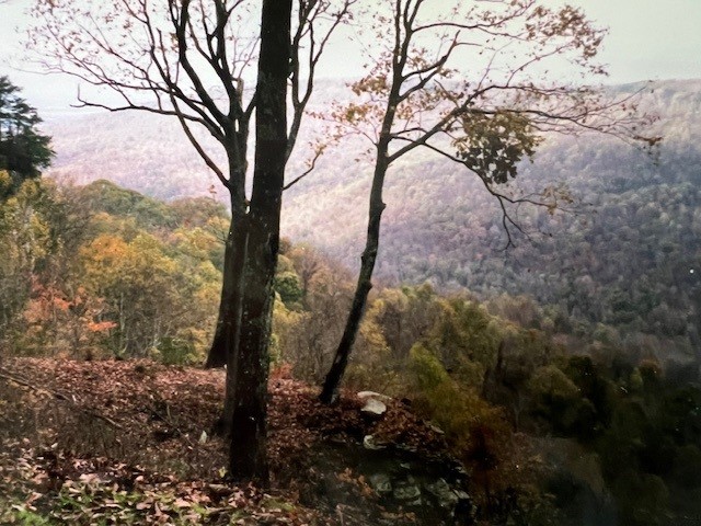 0 Long View Lane