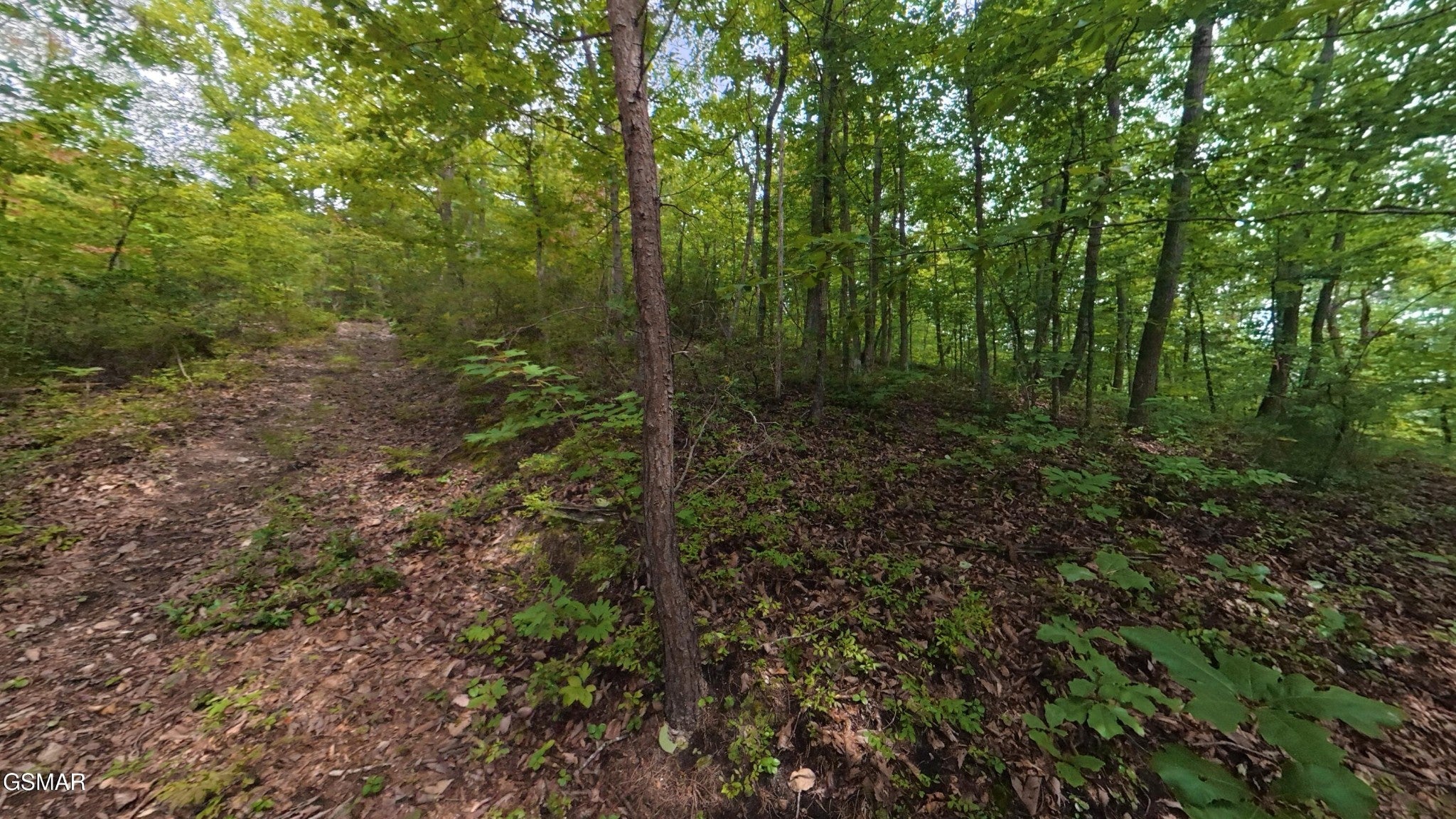 42 Shady Oaks Way